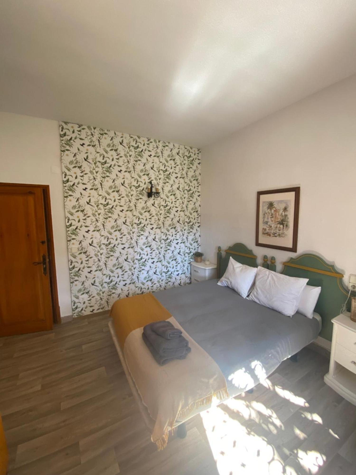 엘체 Pink Lemon House B&B 외부 사진