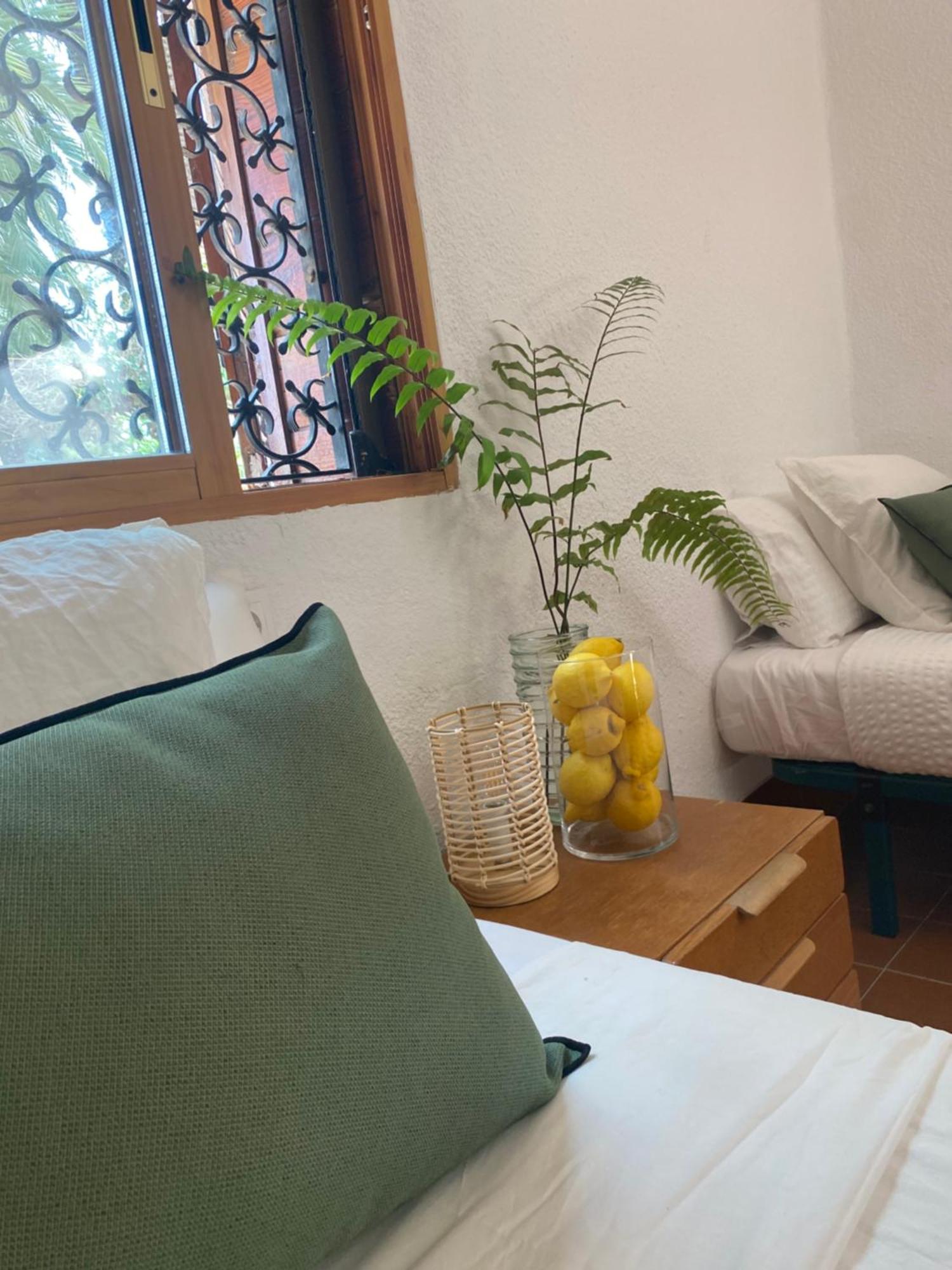 엘체 Pink Lemon House B&B 외부 사진