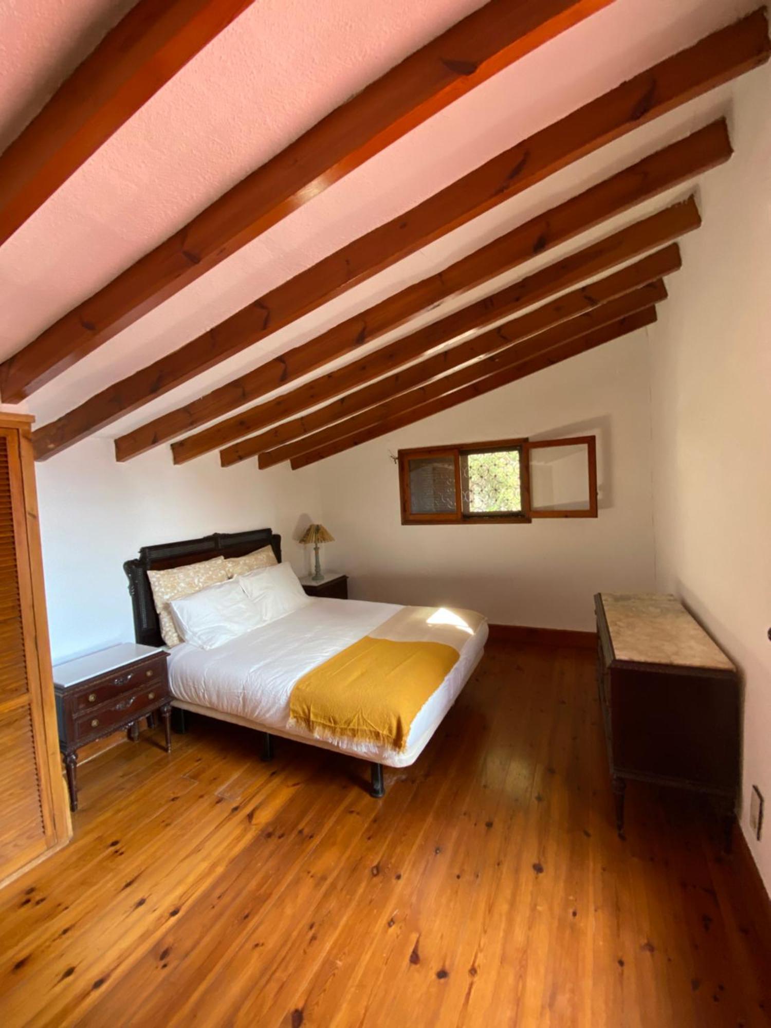 엘체 Pink Lemon House B&B 외부 사진